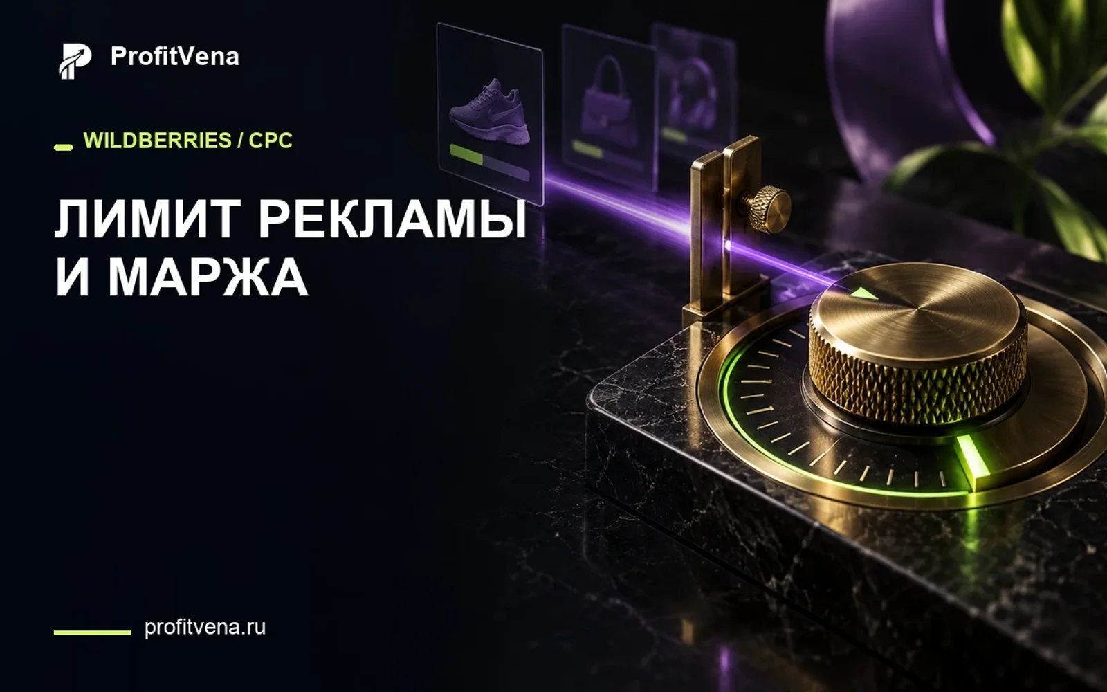 Дневной лимит CPC на Wildberries: как защитить маржу